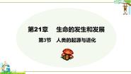 初中生物北师大版八年级下册第七单元 生命的演化第21章  生命的发生和发展第3节  人类的起源与进化课堂教学ppt课件