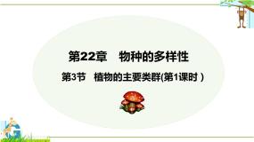 生物八年级下册第七单元 生命的演化第22章  物种的多样性第3节  植物的主要类群教课课件ppt