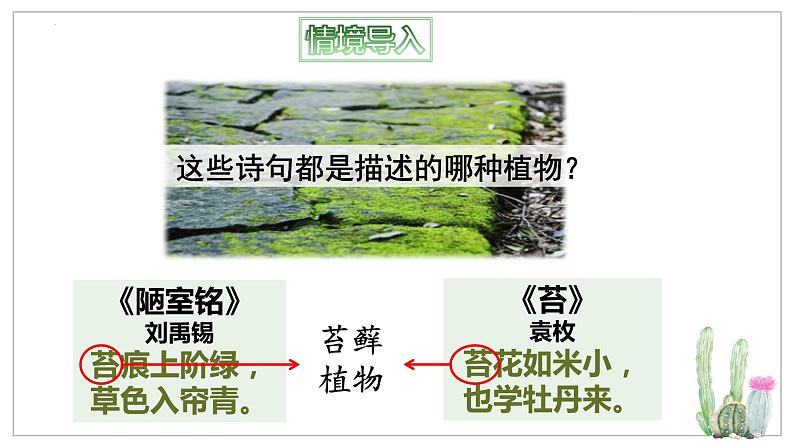 北师大版八年级生物下册课件 22.3 植物的主要类群(第1课时)第5页