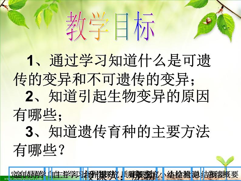 人教版生物八年级下册 第五节 生物的变异 (3) 课件第2页