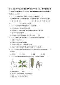 山东省枣庄市峄城区2023-2024学年八年级上学期期中生物试卷