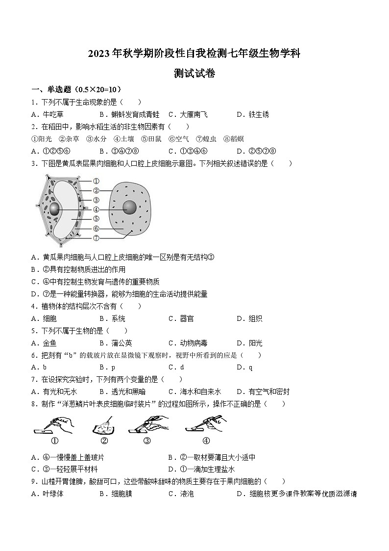 江蘇省鹽城市射陽(yáng)縣縣城四校2023-2024學(xué)年七年級(jí)上學(xué)期期中階段性自我檢測(cè)生物試卷第1頁(yè)