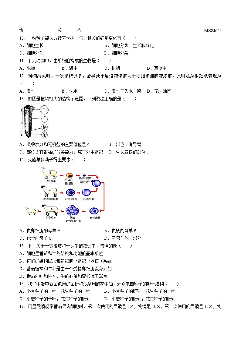 江蘇省鹽城市射陽(yáng)縣縣城四校2023-2024學(xué)年七年級(jí)上學(xué)期期中階段性自我檢測(cè)生物試卷第2頁(yè)