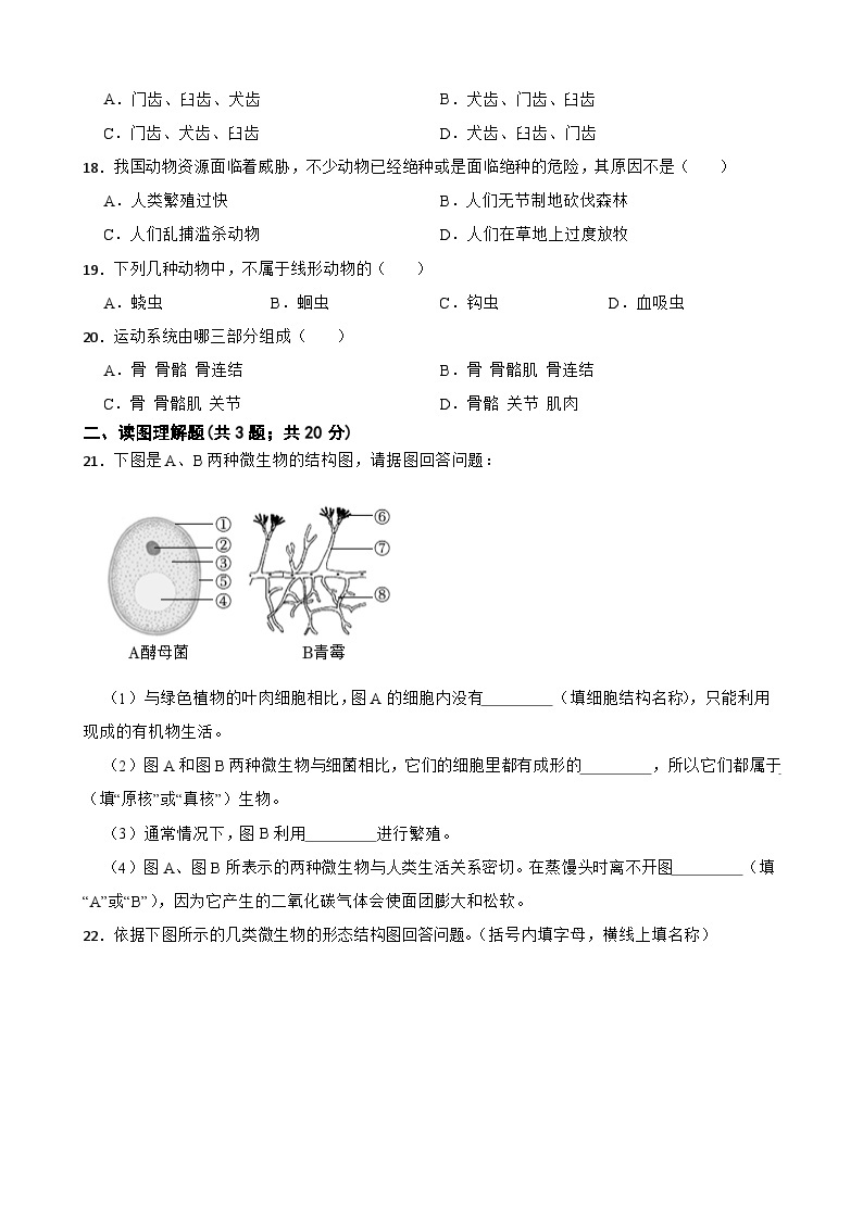 甘肃省武威市凉州区2023-2024学年八年级上学期期末模拟生物试卷（三）03