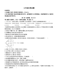 山东省菏泽市牡丹区2023-2024学年九年级上学期期中生物试题