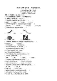 河北省邢台市信都区2023-2024学年八年级上学期期中考试生物试题