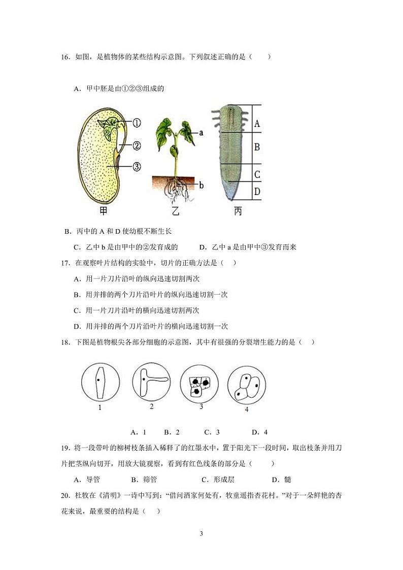 山东省青岛市胶州市洋河中学2023-2024学年七年级上学期第二次月考生物试题第3页