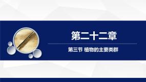 初中生物北师大版八年级下册第3节  植物的主要类群教学课件ppt