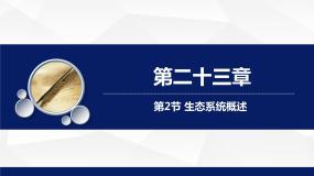 北师大版八年级下册第八单元  生物与环境第23章  生态系统及其稳定性第2节  生态系统概述教学课件ppt