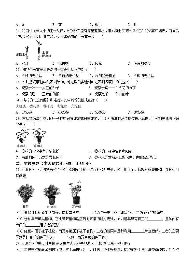 陕西省咸阳市秦都中学2023-2024学年七年级上学期12月月考生物试题03