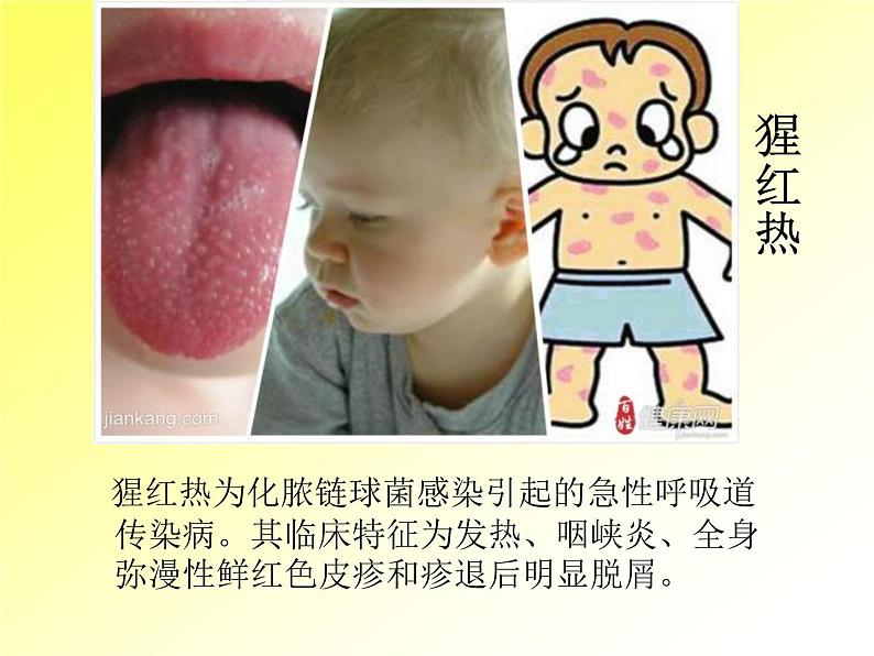 5.4.4 细菌和真菌在自然界中的作用(教学课件)人教版八年级生物上册第6页