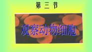初中生物鲁科版 (五四制)六年级上册第三节 观察动物细胞教学演示课件ppt