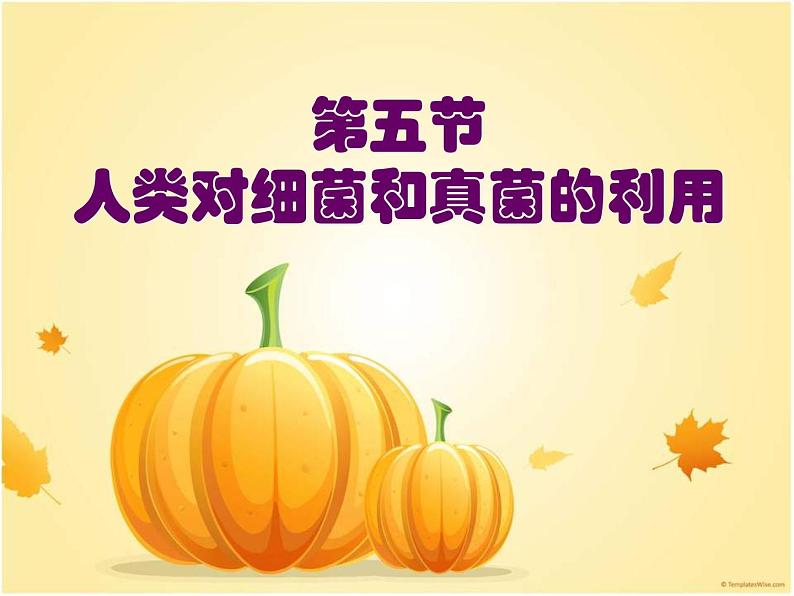 5.4.5人类对细菌和真菌的利用 教学课件 人教版 八年级上册第3页
