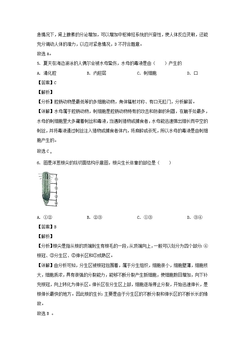 2023年山东烟台中考生物试题及答案 (1)第3页