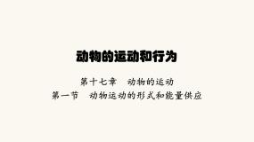 初中苏教版第一节 动物运动的形式和能量供应教案配套ppt课件
