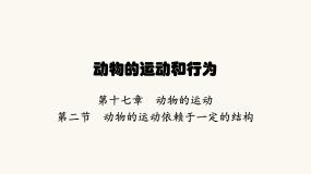 初中生物苏教版八年级上册第二节 动物的运动依赖于一定的结构授课ppt课件