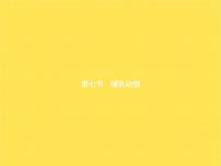 人教版 (新課標(biāo))八年級(jí)上冊(cè)第七節(jié)   哺乳動(dòng)物示范課課件ppt