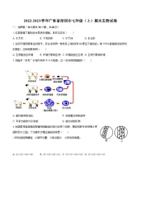 2022-2023学年广东省深圳市七年级（上）期末生物试卷(含答案解析)