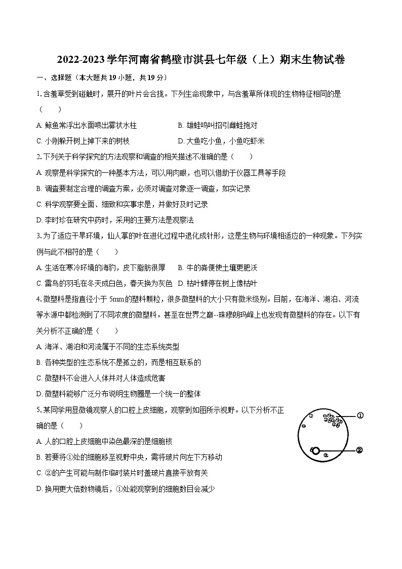 2022-2023学年河南省鹤壁市淇县七年级(上)期末生物试卷(含答案解析)01