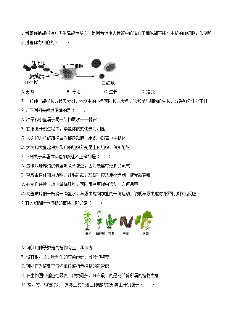 2022-2023学年河南省鹤壁市淇县七年级(上)期末生物试卷(含答案解析)02