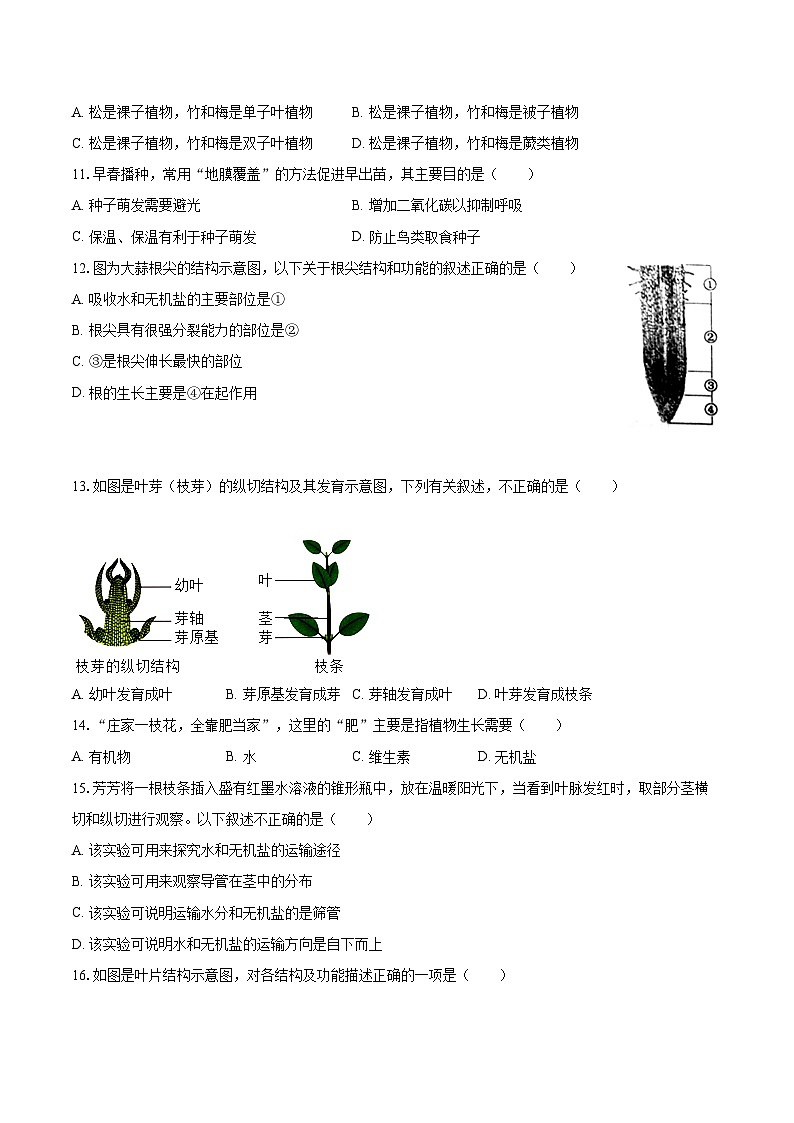 2022-2023学年河南省鹤壁市淇县七年级(上)期末生物试卷(含答案解析)03