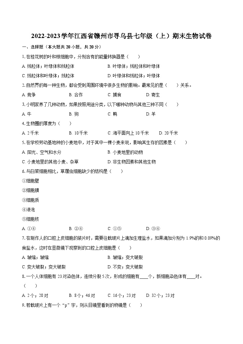 2022-2023学年江西省赣州市寻乌县七年级（上）期末生物试卷(含答案解析)01
