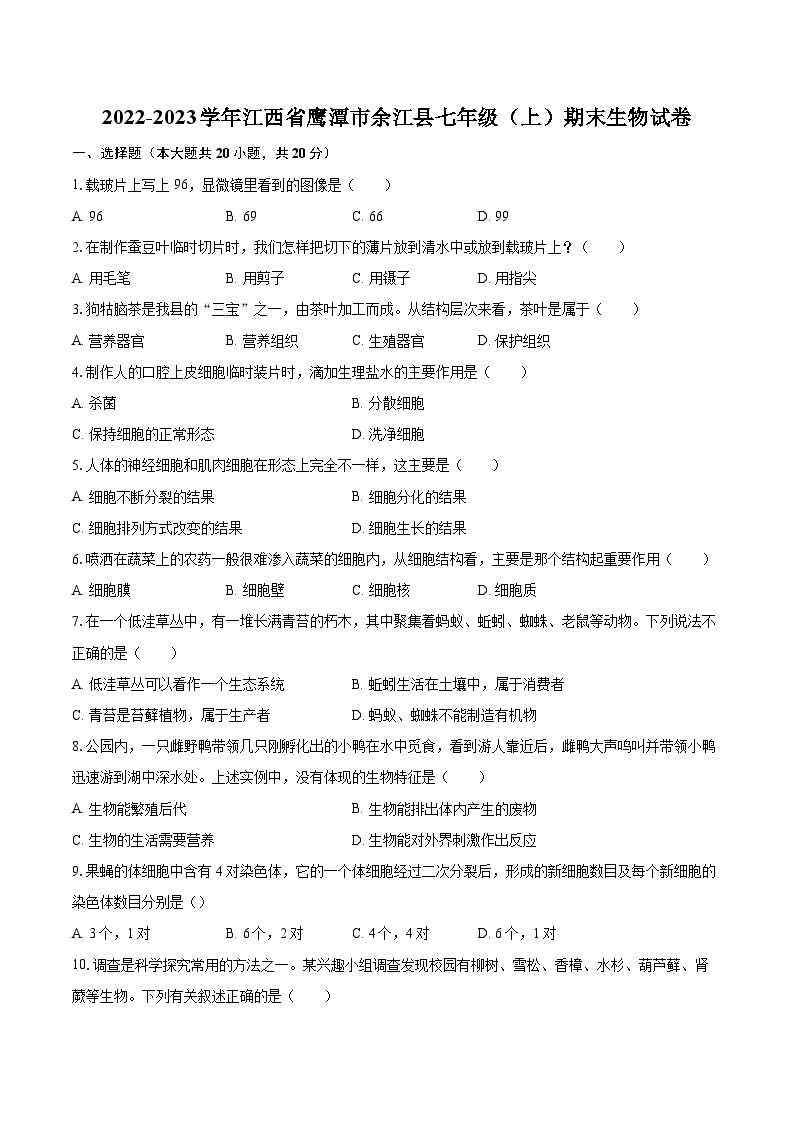 2022-2023学年江西省鹰潭市余江县七年级（上）期末生物试卷(含答案解析)01