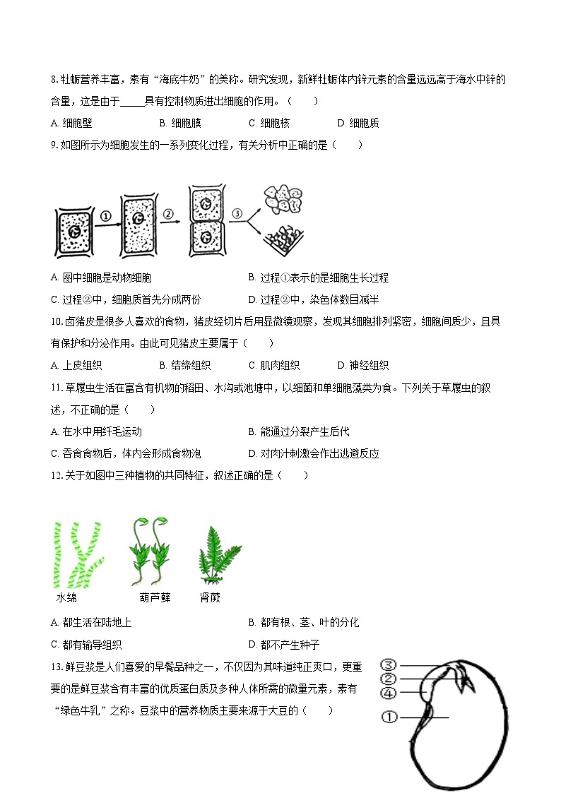 2022-2023学年安徽省池州市贵池区七年级（上）期末生物试卷(含答案解析)02