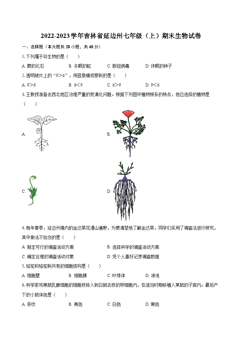 2022-2023学年吉林省延边州七年级（上）期末生物试卷（含答案解析）01