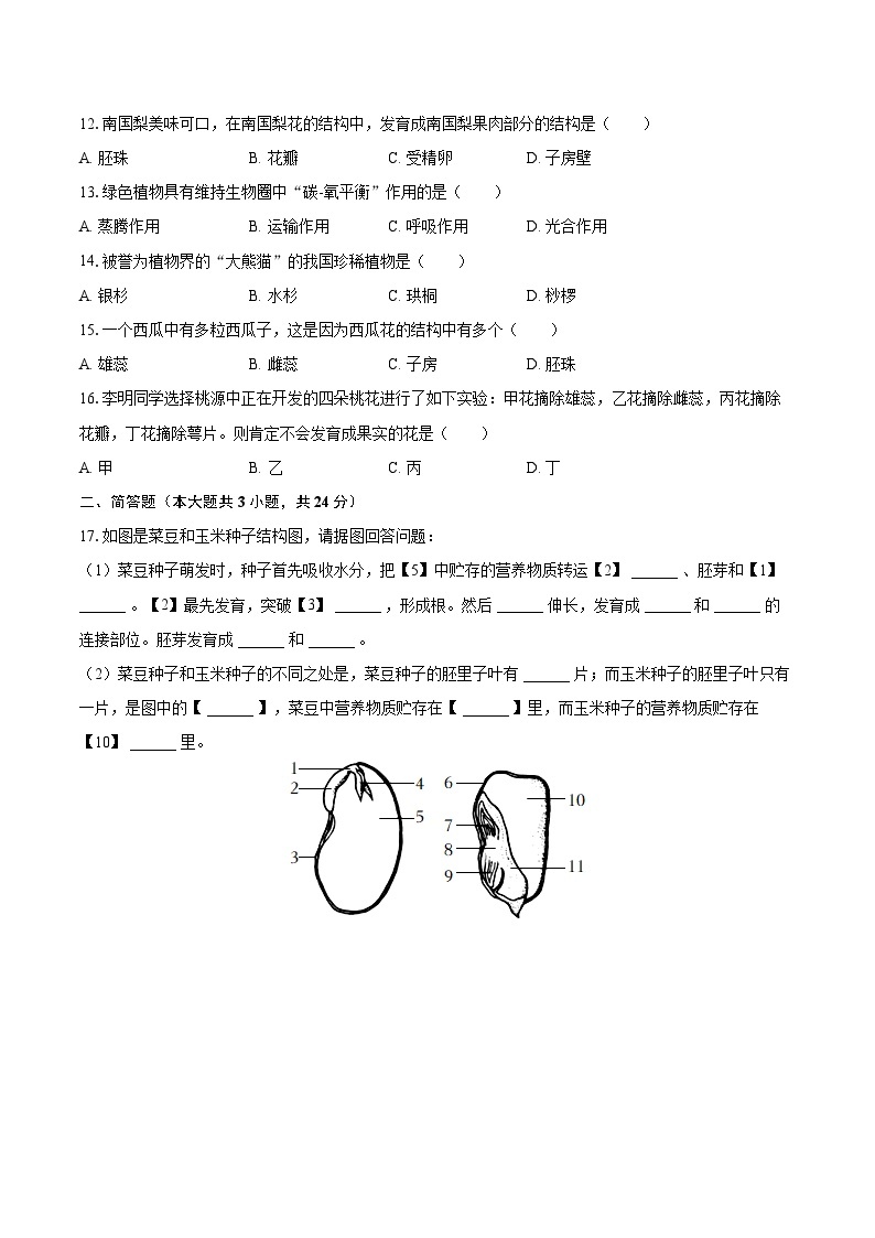 2022-2023学年辽宁省铁岭市西丰县七年级（上）期末生物试卷（含答案解析）03