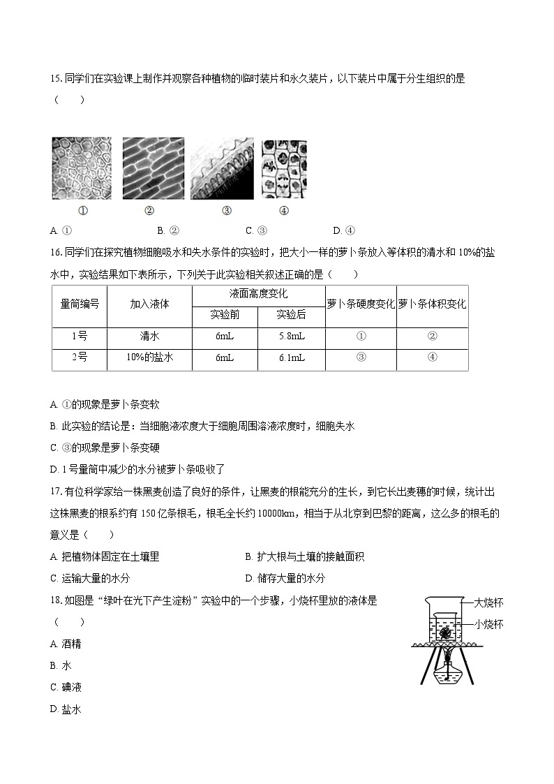 2022-2023学年北京市密云区七年级（上）期末生物试卷（含答案解析）03