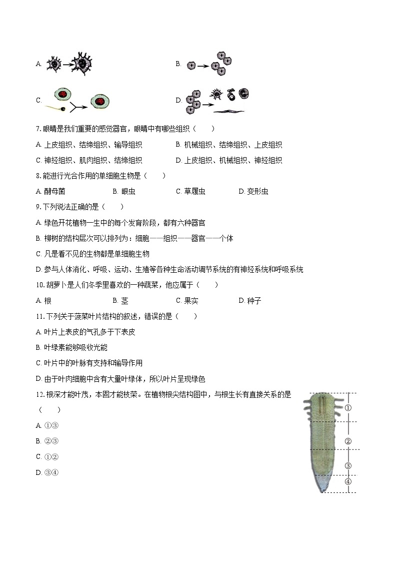 2022-2023学年山西省晋城市阳城县七年级（上）期末生物试卷（含答案解析）02