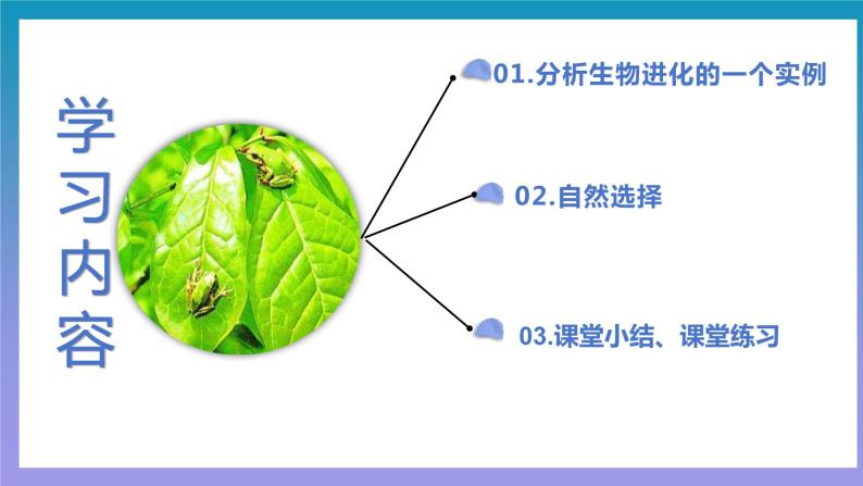 【核心素养】人教版八年级下册7.3.3《生物进化的原因》课件＋课时练习＋教案（含教学反思）03