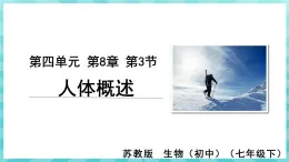 8.3 人体概述 课件—2023---2024学年苏教版生物七年级下册