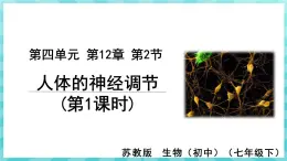 12.2 人体的神经调节（第1课时）课件—2023---2024学年苏教版生物七年级下册