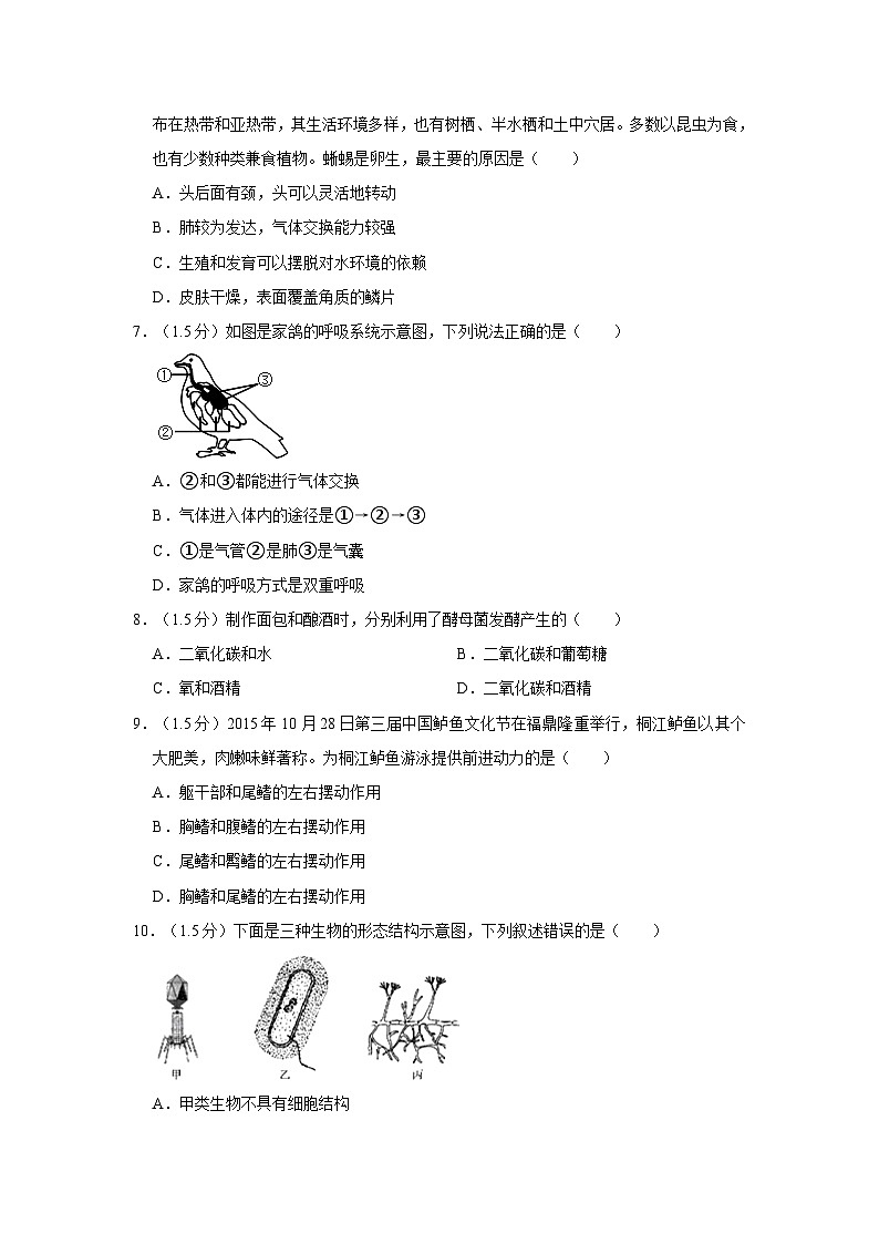 2023-2024学年四川省德阳二中教育集团八年级(上)期中生物试卷(乙卷)02