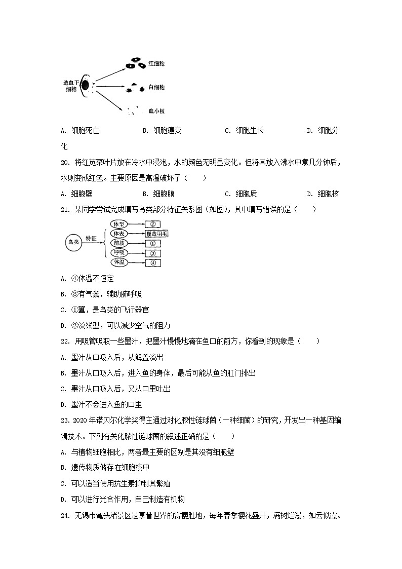 2023年江苏无锡中考生物真题及答案03