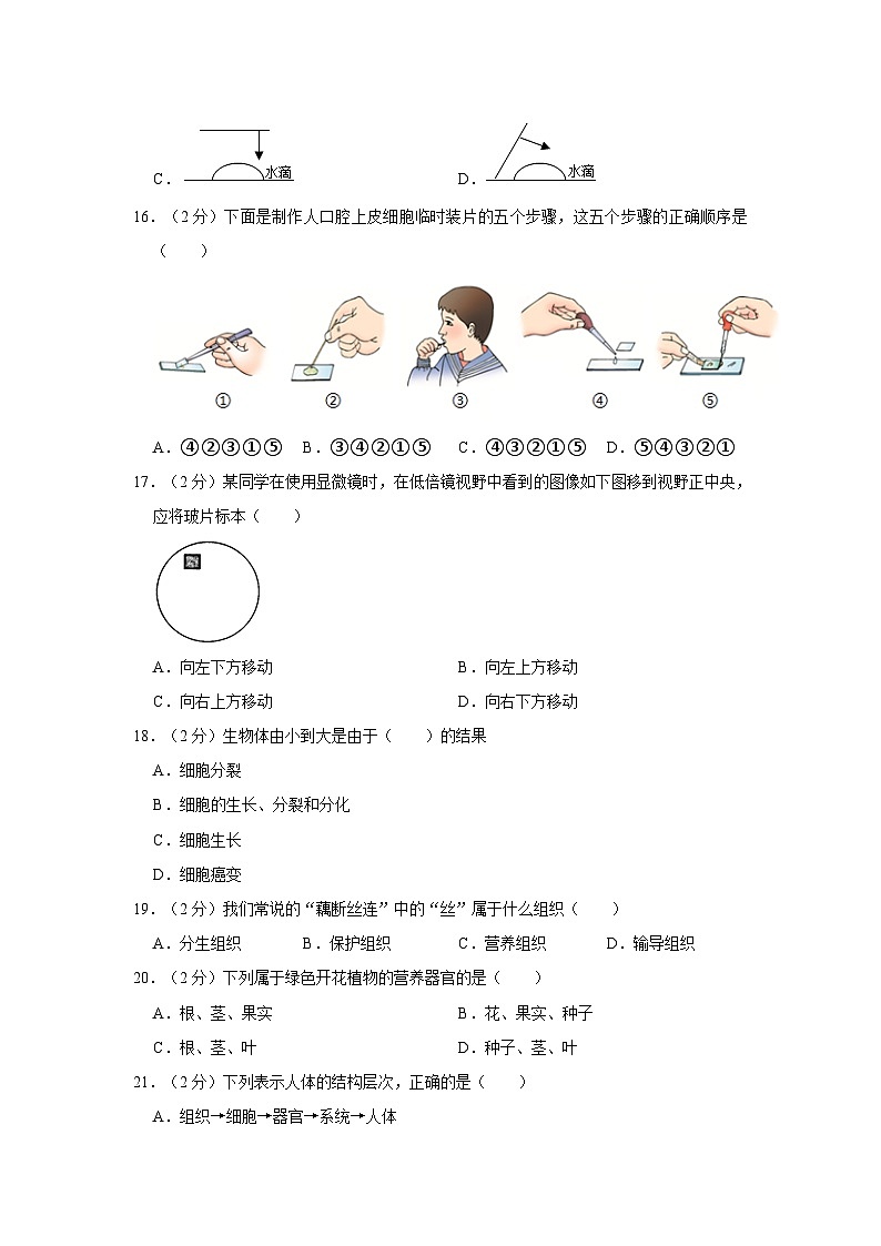 天津市西青区当城中学2023-2024学年七年级上学期期中生物试卷第3页