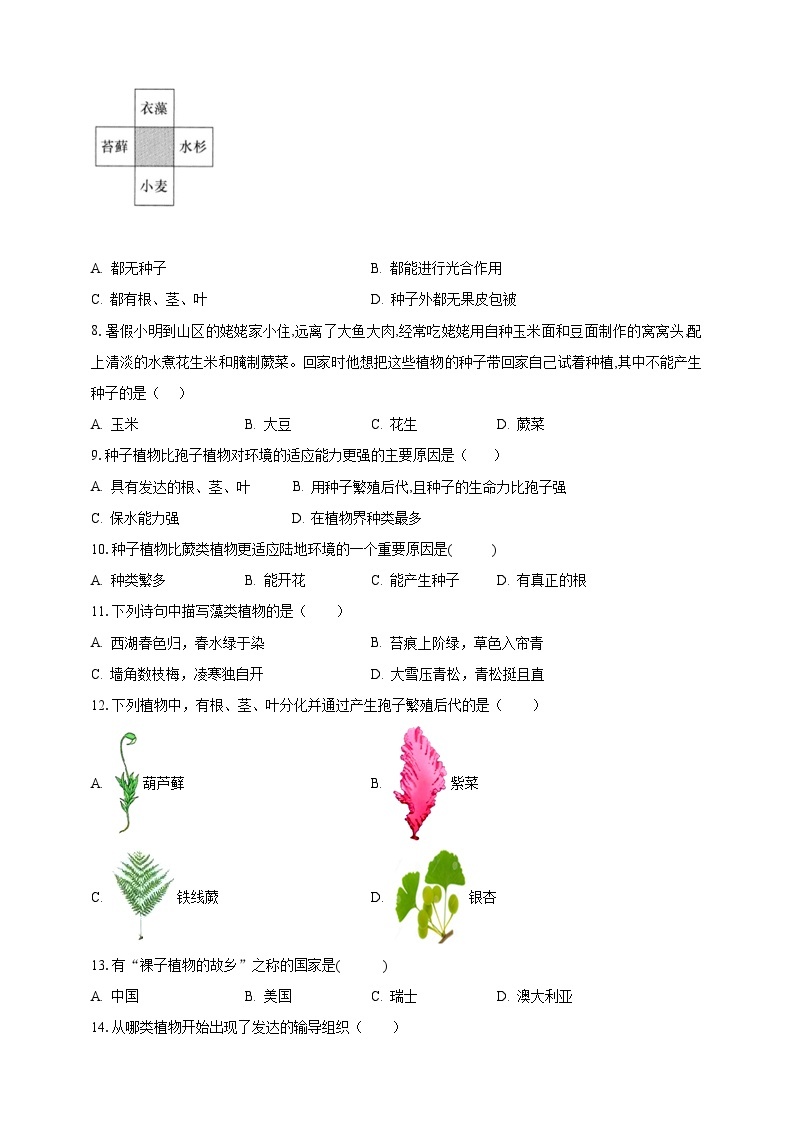 【期末复习】人教版 初中生物 七年级上册期末复习第三单元第一章素养检测试题（原卷 解析卷）.zip02