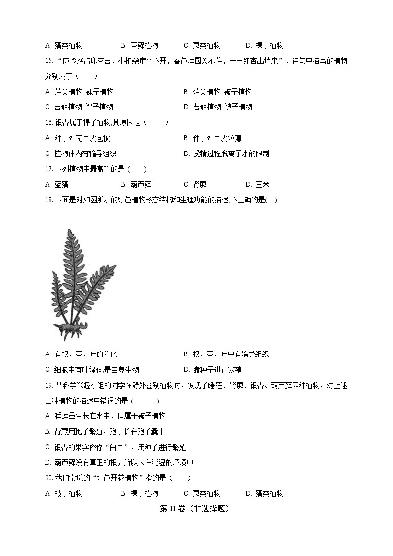 【期末复习】人教版 初中生物 七年级上册期末复习第三单元第一章素养检测试题（原卷 解析卷）.zip03