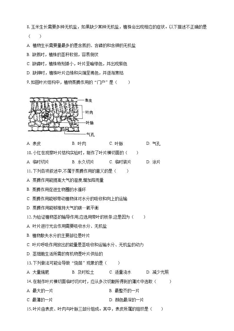 【期末复习】人教版 初中生物 七年级上册期末复习第三单元第三章素养检测试题(原卷 解析卷）.zip02