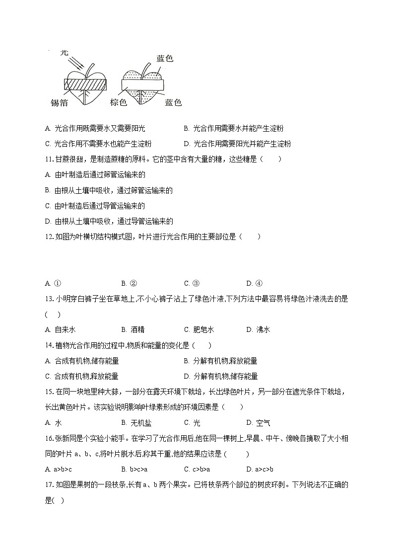 【期末复习】人教版 初中生物 七年级上册期末复习第三单元第四章检测试题原卷第3页