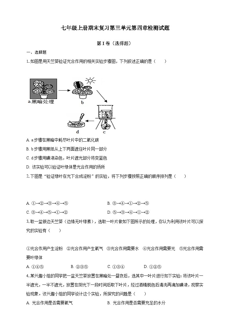 【期末复习】人教版 初中生物 七年级上册期末复习第三单元第四章检测试题解析卷第1页