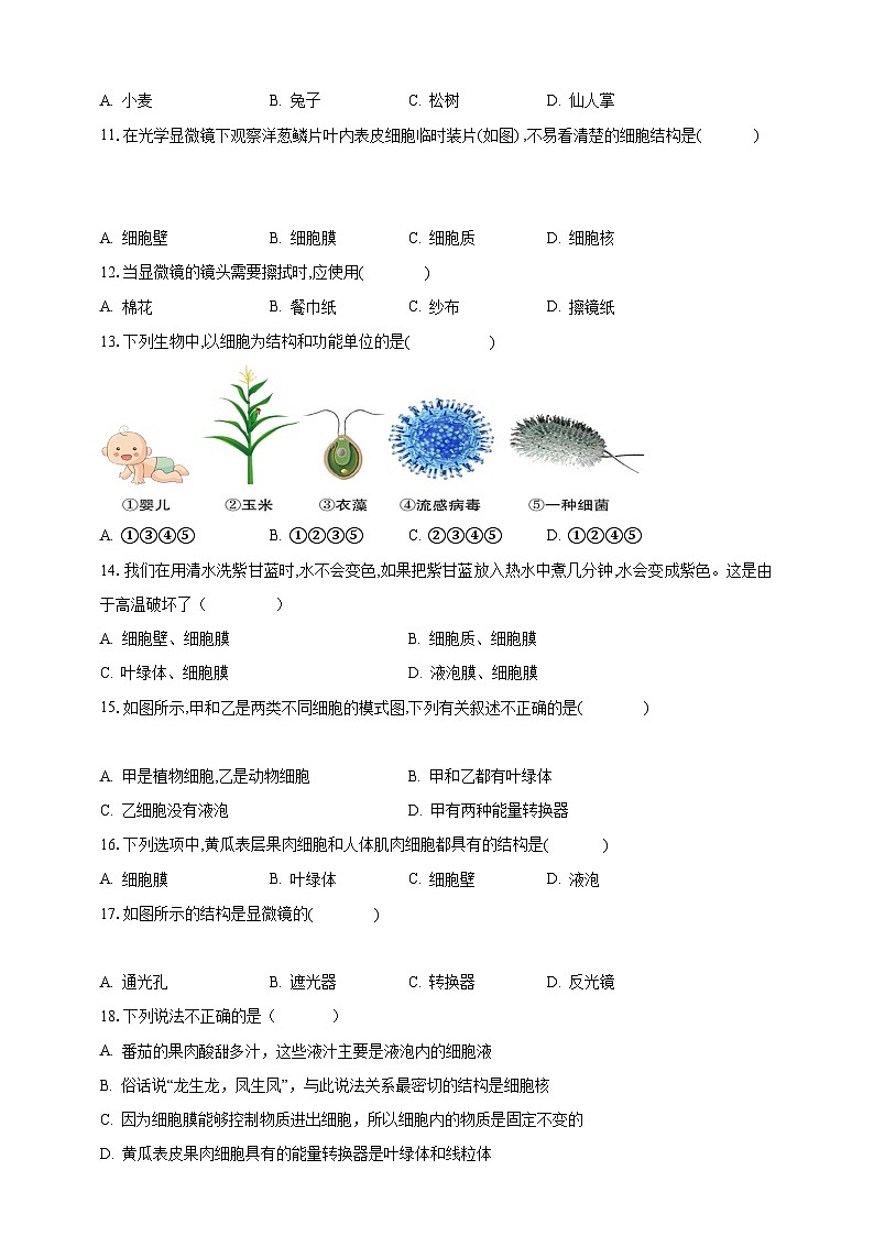 【期末复习】人教版 初中生物 七年级上册期末复习第二单元第一章检测试题原卷第3页