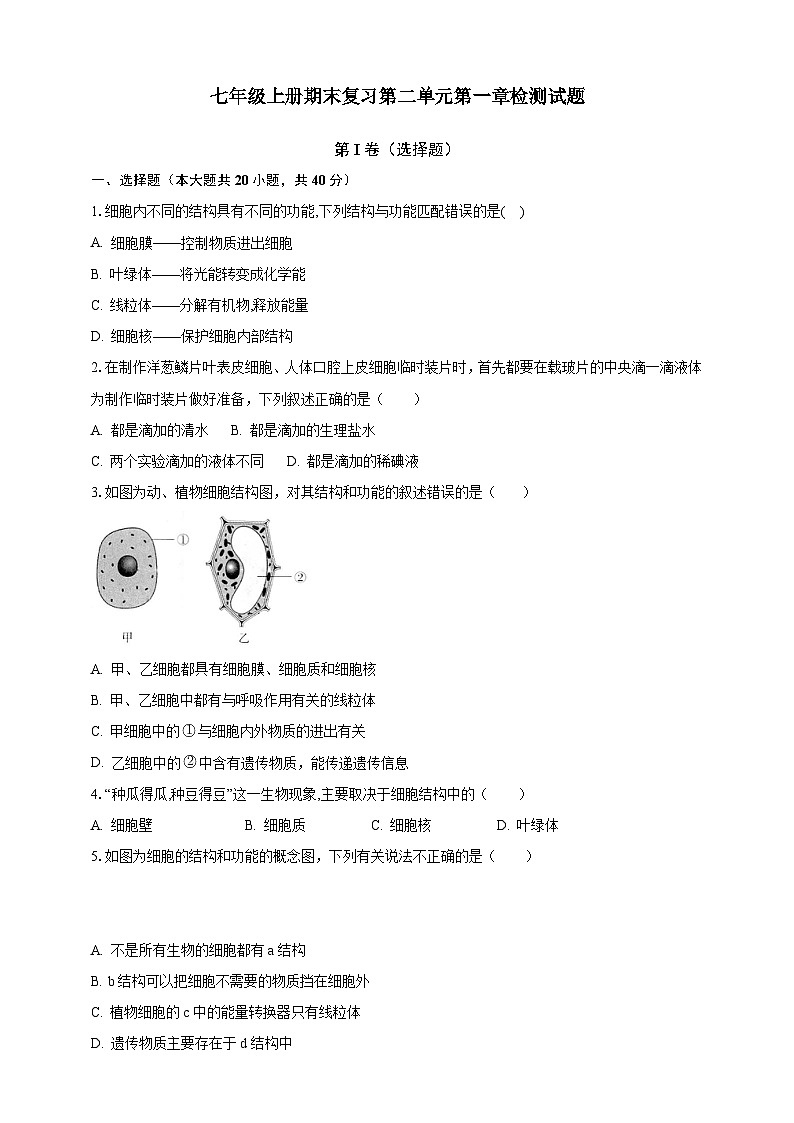 【期末复习】人教版 初中生物 七年级上册期末复习第二单元第一章检测试题解析卷第1页