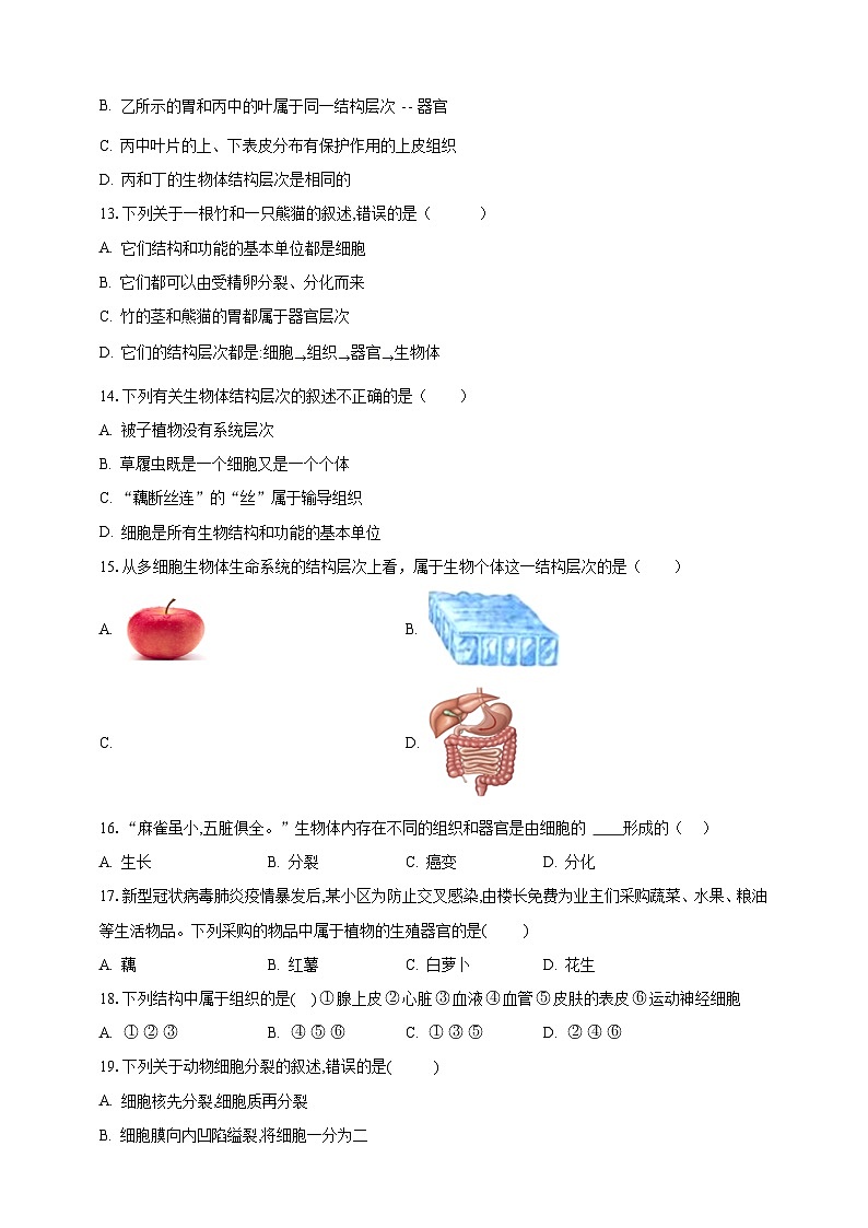 【期末复习】人教版 初中生物 七年级上册期末复习第二单元第二章检测试题解析卷第3页