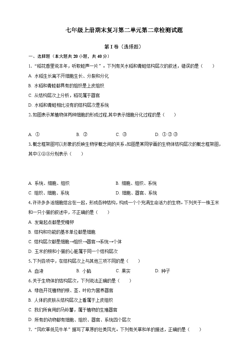 【期末复习】人教版 初中生物 七年级上册期末复习第二单元第二章检测试题原卷第1页