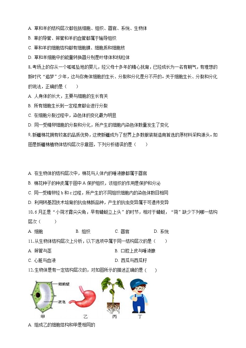 【期末复习】人教版 初中生物 七年级上册期末复习第二单元第二章检测试题原卷第2页