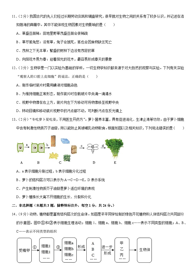 湖北省荆楚初中名校联盟2023-2024学年七年级上学期期中生物试卷第3页