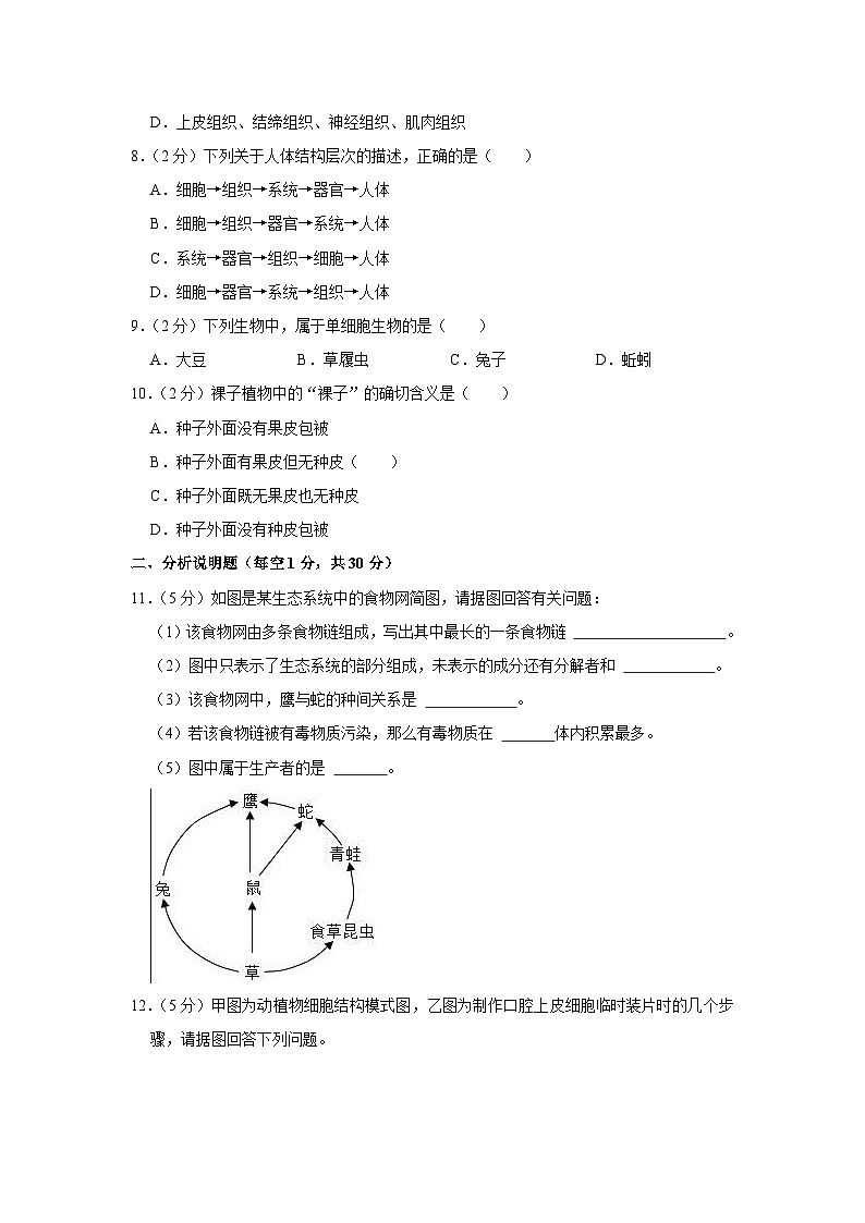 甘肃省天水市麦积区部分校联考2023-2024学年七年级上学期第二次月考生物试卷第2页